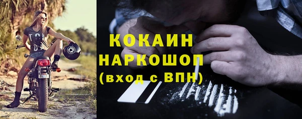 прущие грибы Балахна